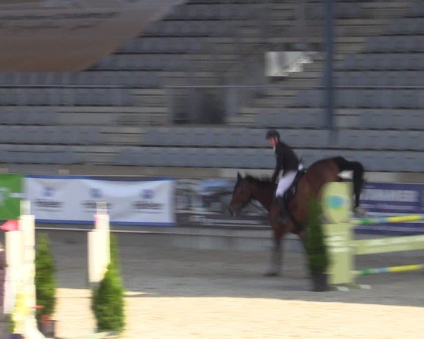 Reitturnier Aachen 2025