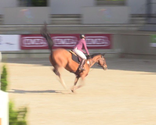 Reitturnier Aachen 2025