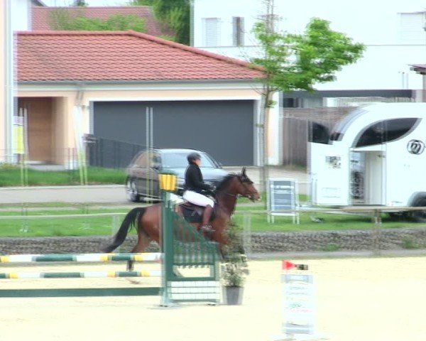 Reitturnier Ingolstadt-Hagau/Obb. 2025