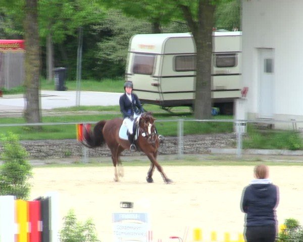 Reitturnier Ingolstadt-Hagau/Obb. 2025