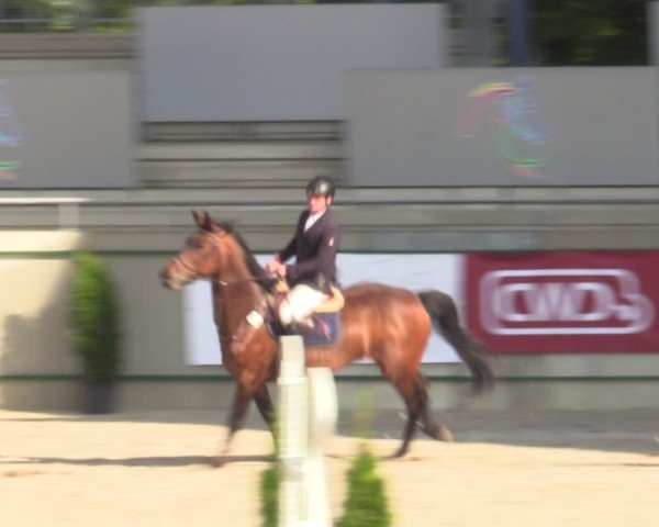 Reitturnier Aachen 2025