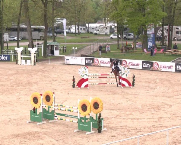 Internationales Springturnier Stadl-Paura 2025