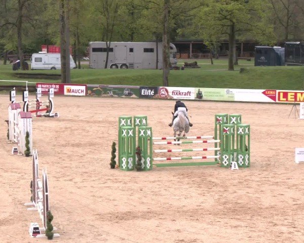 Internationales Springturnier Stadl-Paura 2025