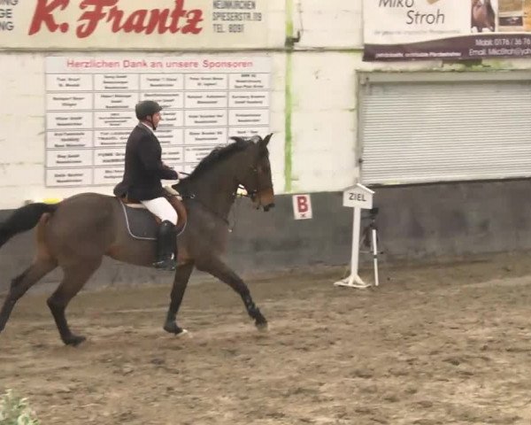 Neunkirchen-Furpach 2014