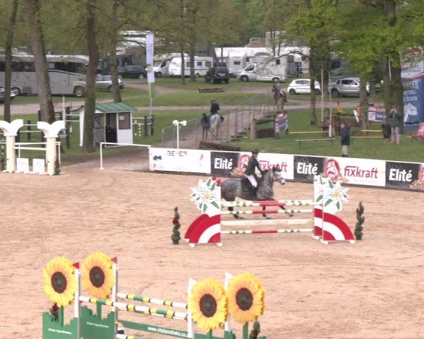 Internationales Springturnier Stadl-Paura 2025