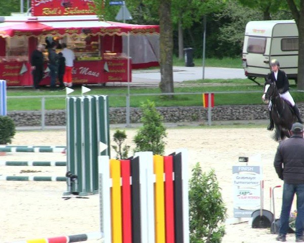 Reitturnier Ingolstadt-Hagau/Obb. 2025