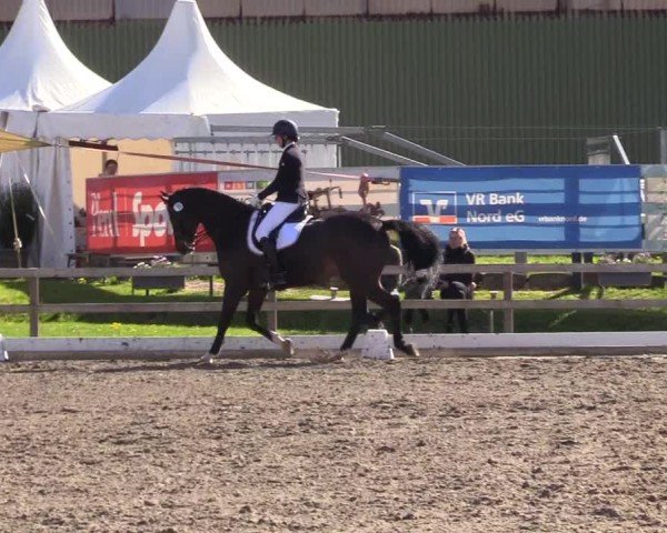 Reitturnier Kleinsolter Turniertage 2025