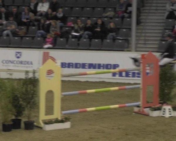 VER-Dinale 2014