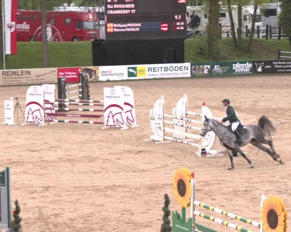 Internationales Springturnier Stadl-Paura 2025
