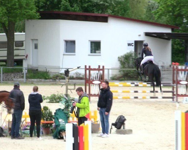 Reitturnier Ingolstadt-Hagau/Obb. 2025