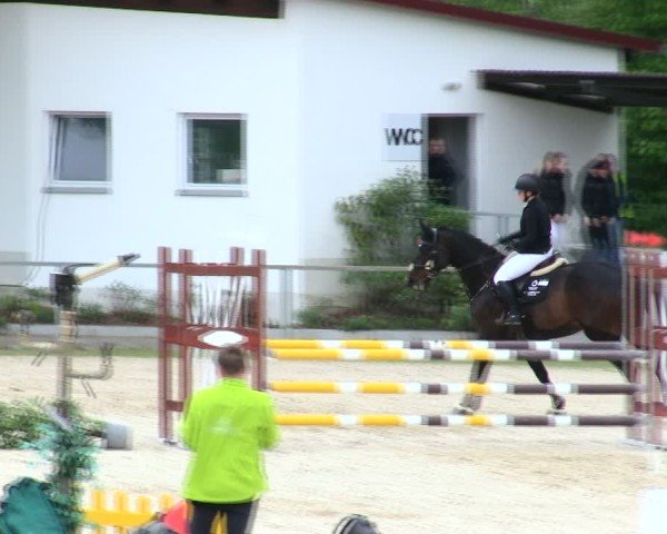 Reitturnier Ingolstadt-Hagau/Obb. 2025
