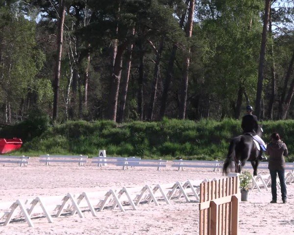 Reitturnier Pietzpuhl 2025