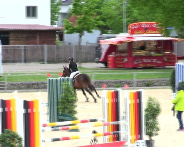 Reitturnier Ingolstadt-Hagau/Obb. 2025