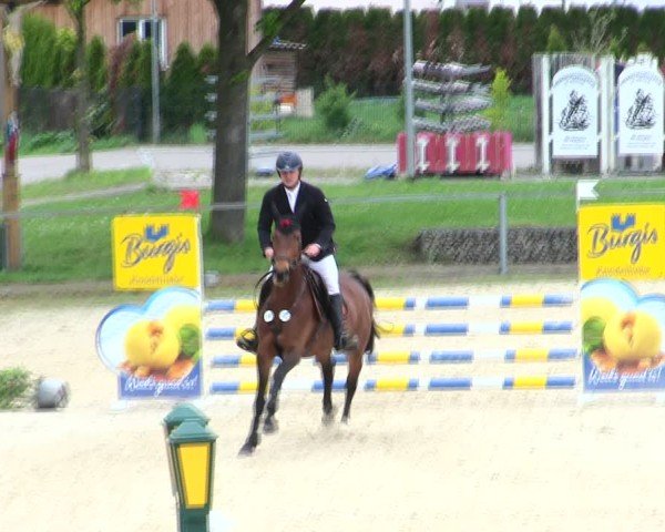 Reitturnier Ingolstadt-Hagau/Obb. 2025
