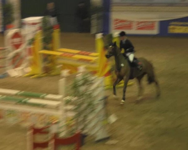 Spring-Pferde-Festival Lathen 2014