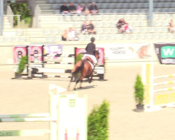 Reitturnier Aachen 2025