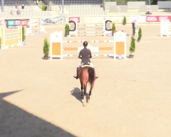 Reitturnier Aachen 2025
