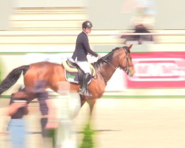 Reitturnier Aachen 2025