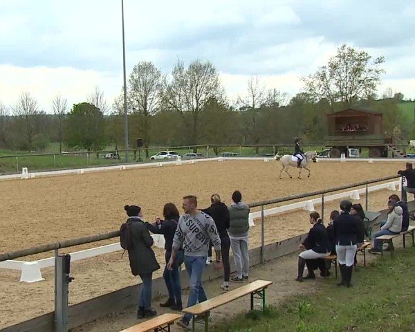 Reitturnier Altentrüdingen 2025