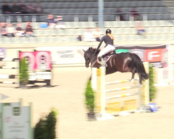Reitturnier Aachen 2025