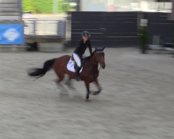 Reitturnier Aachen 2025