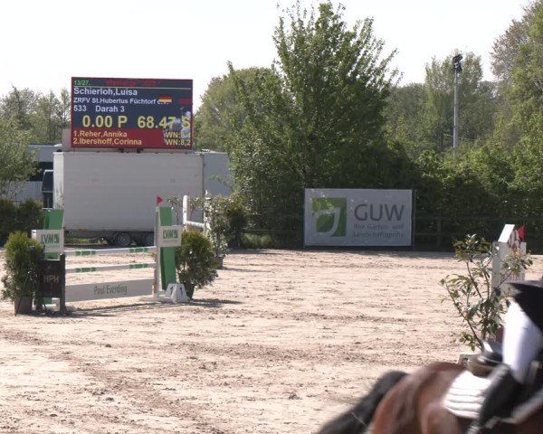 Reitturnier Nienberge 2025