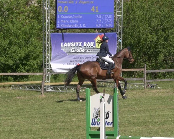Reitturnier Luckau 2025