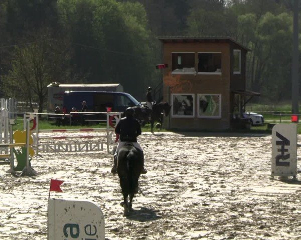 Reitturnier Bad Liebenstein 2025