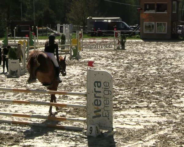 Reitturnier Bad Liebenstein 2025