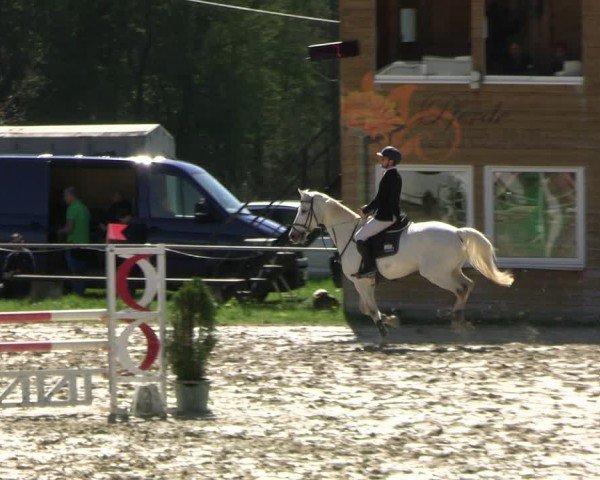 Reitturnier Bad Liebenstein 2025