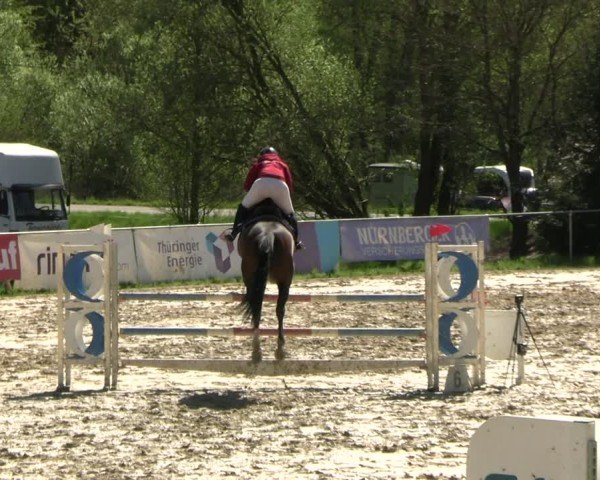 Reitturnier Bad Liebenstein 2025