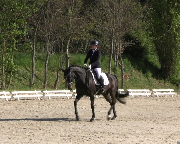 Reitturnier Pietzpuhl 2025