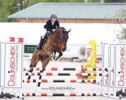 jumper Conthargos Best Kept Secret (Oldenburg show jumper, 2016, from Conthargos)