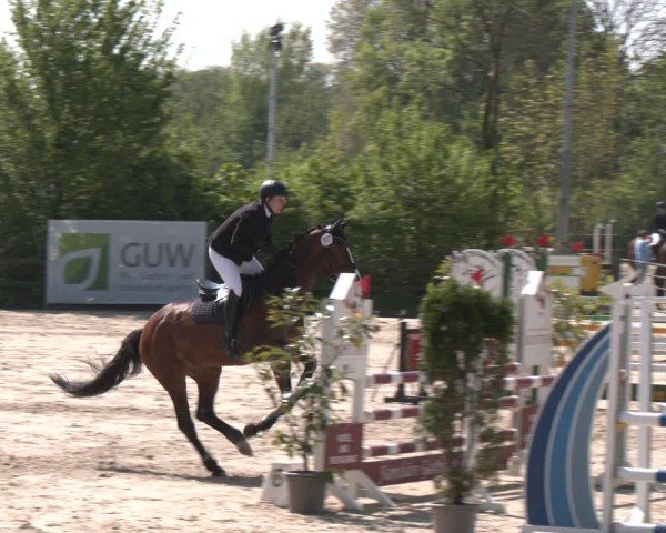 Reitturnier Nienberge 2025