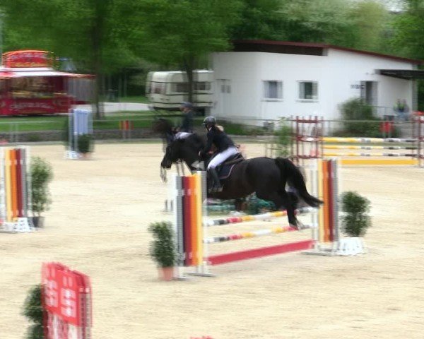 Reitturnier Ingolstadt-Hagau/Obb. 2025