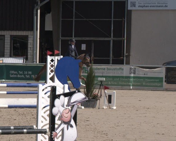 Reitturnier Olfen 2025