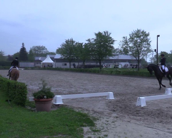 Reitturnier Olfen 2025