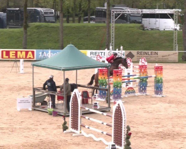 Internationales Springturnier Stadl-Paura 2025