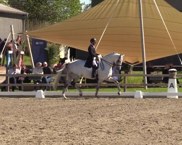 Reitturnier Kleinsolter Turniertage 2025