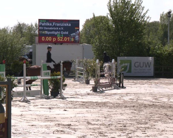 Reitturnier Nienberge 2025