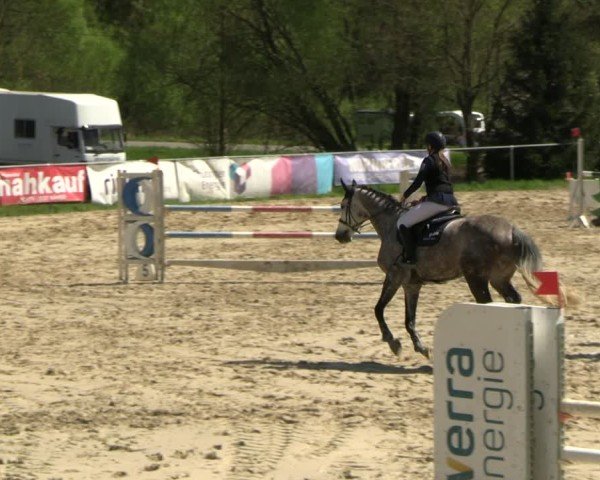 Reitturnier Bad Liebenstein 2025