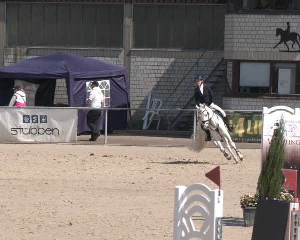 Reitturnier Olfen 2025