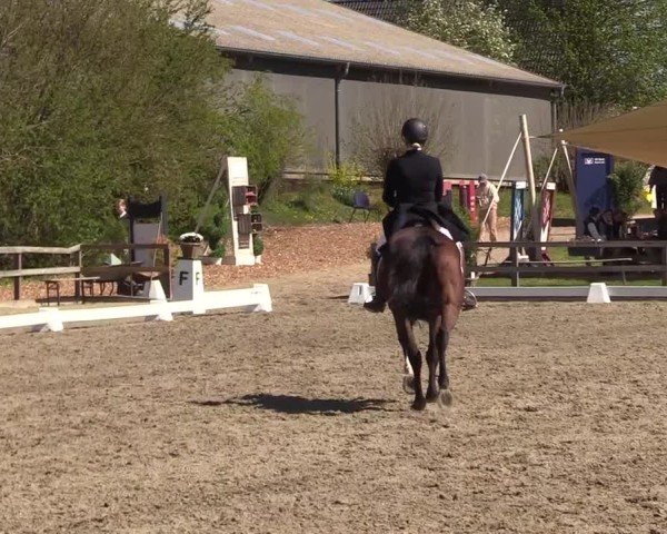 Reitturnier Kleinsolter Turniertage 2025