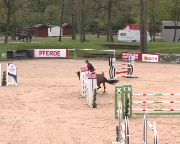 Internationales Springturnier Stadl-Paura 2025