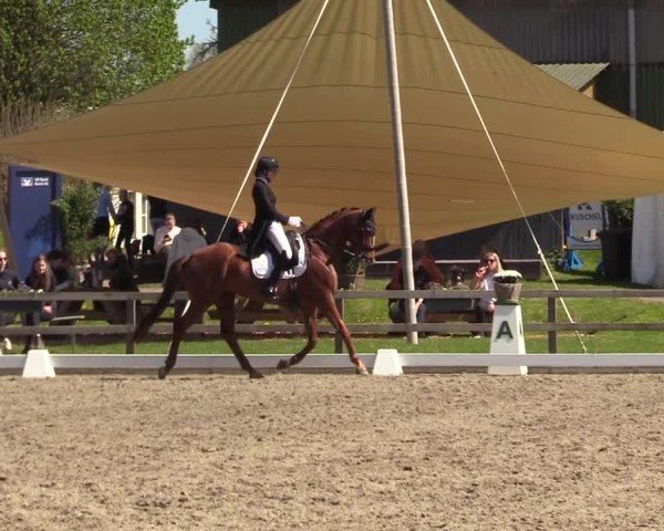 Reitturnier Kleinsolter Turniertage 2025