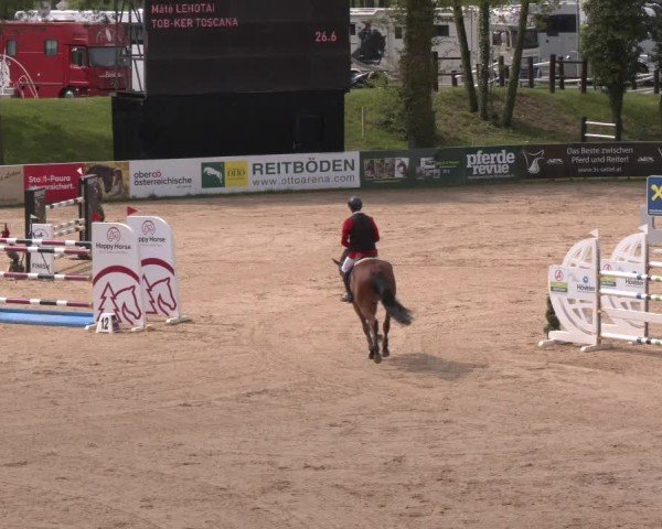 Internationales Springturnier Stadl-Paura 2025