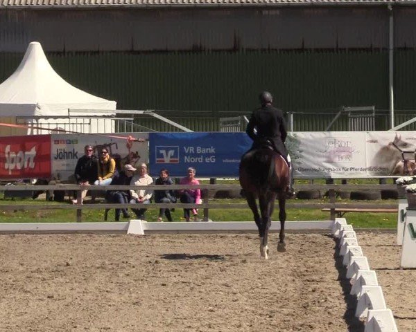 Reitturnier Kleinsolter Turniertage 2025