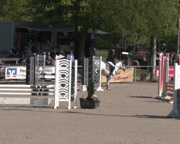 Reitturnier Olfen 2025