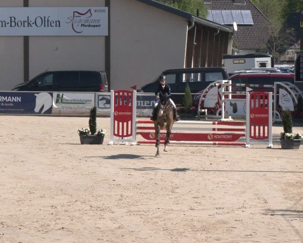 Reitturnier Olfen 2025