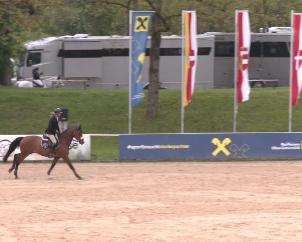 Internationales Springturnier Stadl-Paura 2025